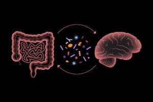 The Connection Between Gut Health and Your Mood: What Science Says
